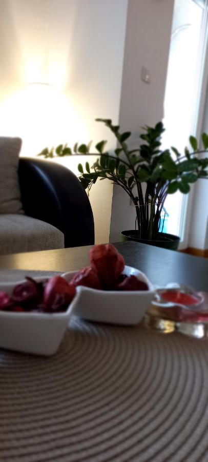 Beautifull Apartment Ниш Екстер'єр фото